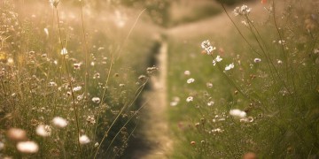 寻觅我的自由究竟是哪首歌？