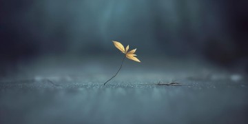 冷漠中的冷淡究竟是哪首歌？