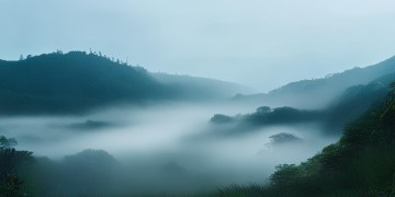 山上的早晨有点凉究竟是哪首歌？