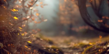 不要怕风有多么大出自哪首歌？