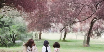 锦绣南歌中为何太妃有如此设定？