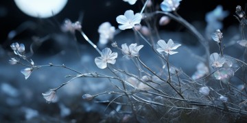 一夜白头究竟是怎样一首歌?