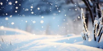 今年的雪来得太迟究竟是哪首歌？