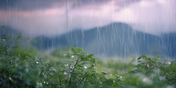 迎着风迎着雨究竟是哪首歌？