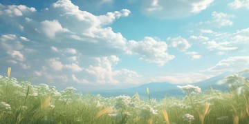 那首有云朵英文歌词的歌究竟是什么？