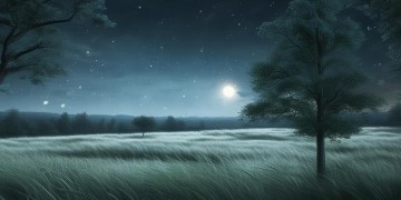 孤单的夜晚不寂寞究竟是哪首歌？