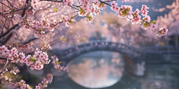 打拐电视剧里的歌究竟是什么？