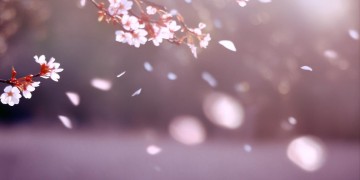 如今换来的是伤害究竟是哪首歌？