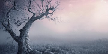 硬不尽红尘的泪究竟是哪首歌?