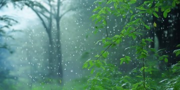 我问问风我问问雨究竟是哪首歌？