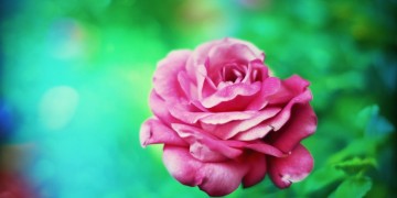 心上的人太美了究竟是哪首歌？