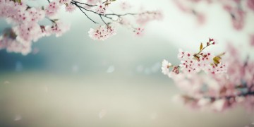 20岁吃过太多苦这句歌词出自哪首歌？