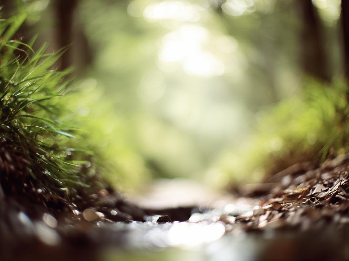 等你我下次相遇出自哪首歌? 等你我下次相遇出自哪首歌?