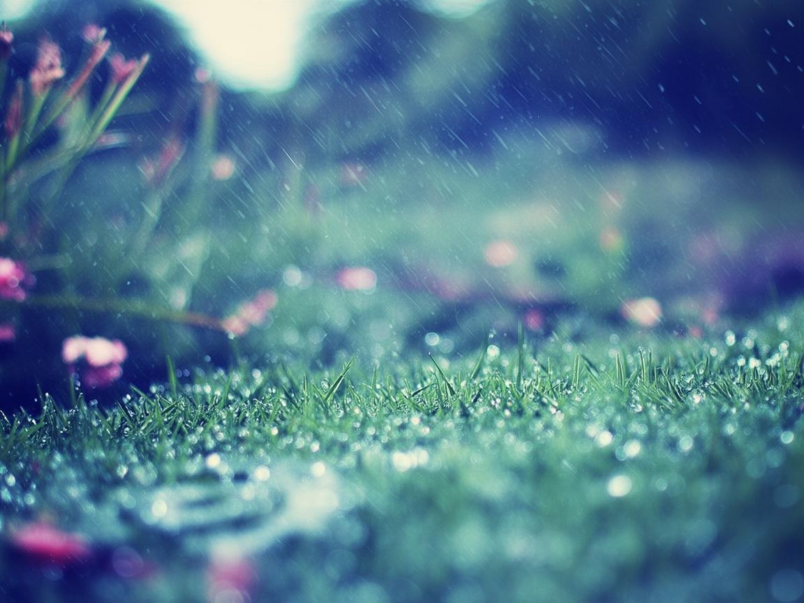 雨字和你字押韵吗？究竟是哪首歌？