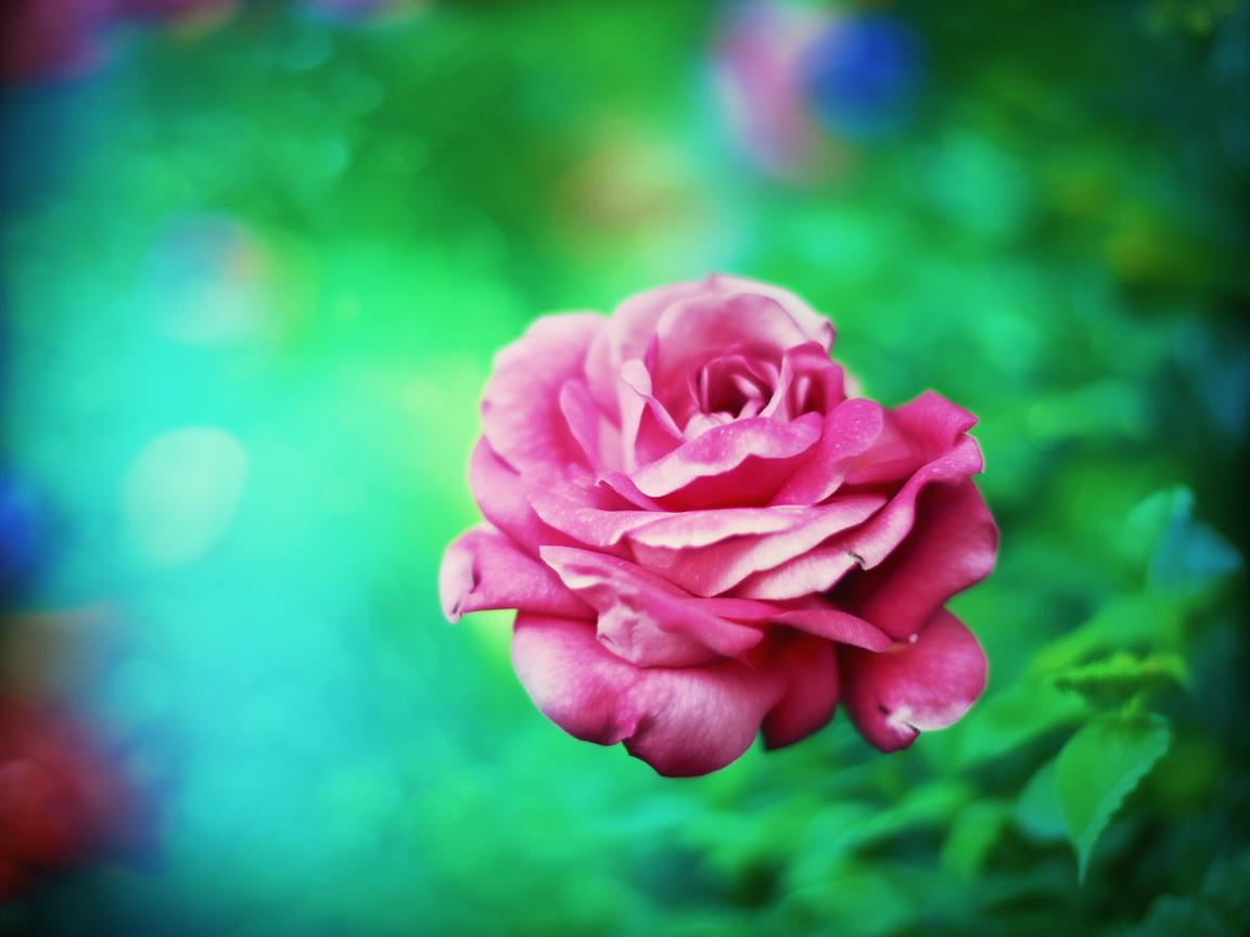 心上的人太美了究竟是哪首歌？