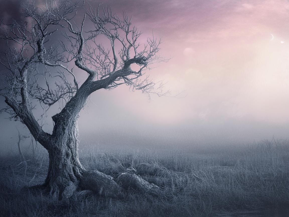 硬不尽红尘的泪究竟是哪首歌？