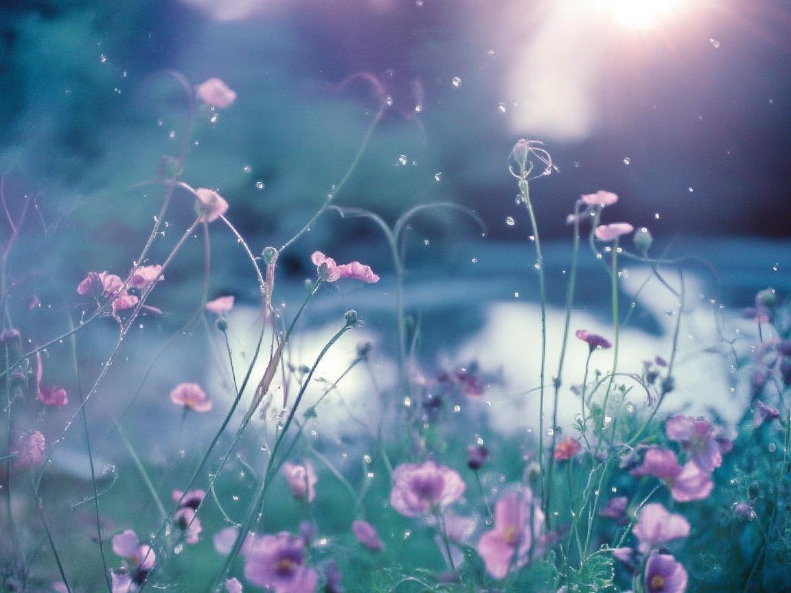 你就是我的女神出自哪首歌？